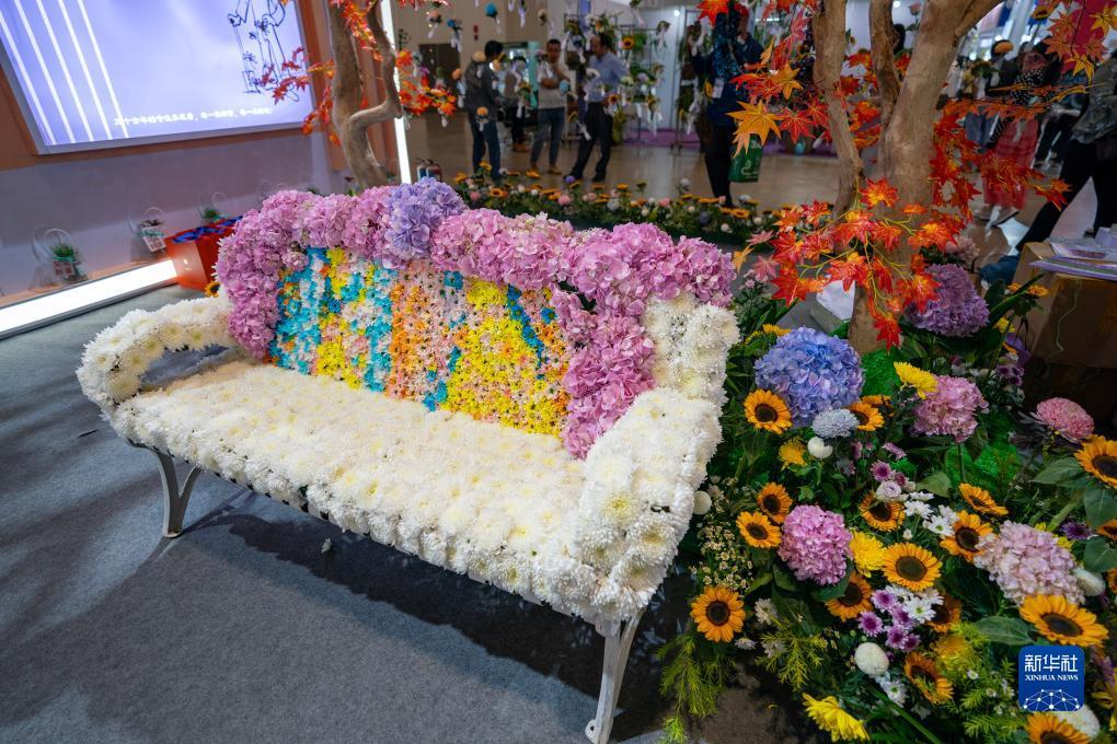 彩霸王论坛57976